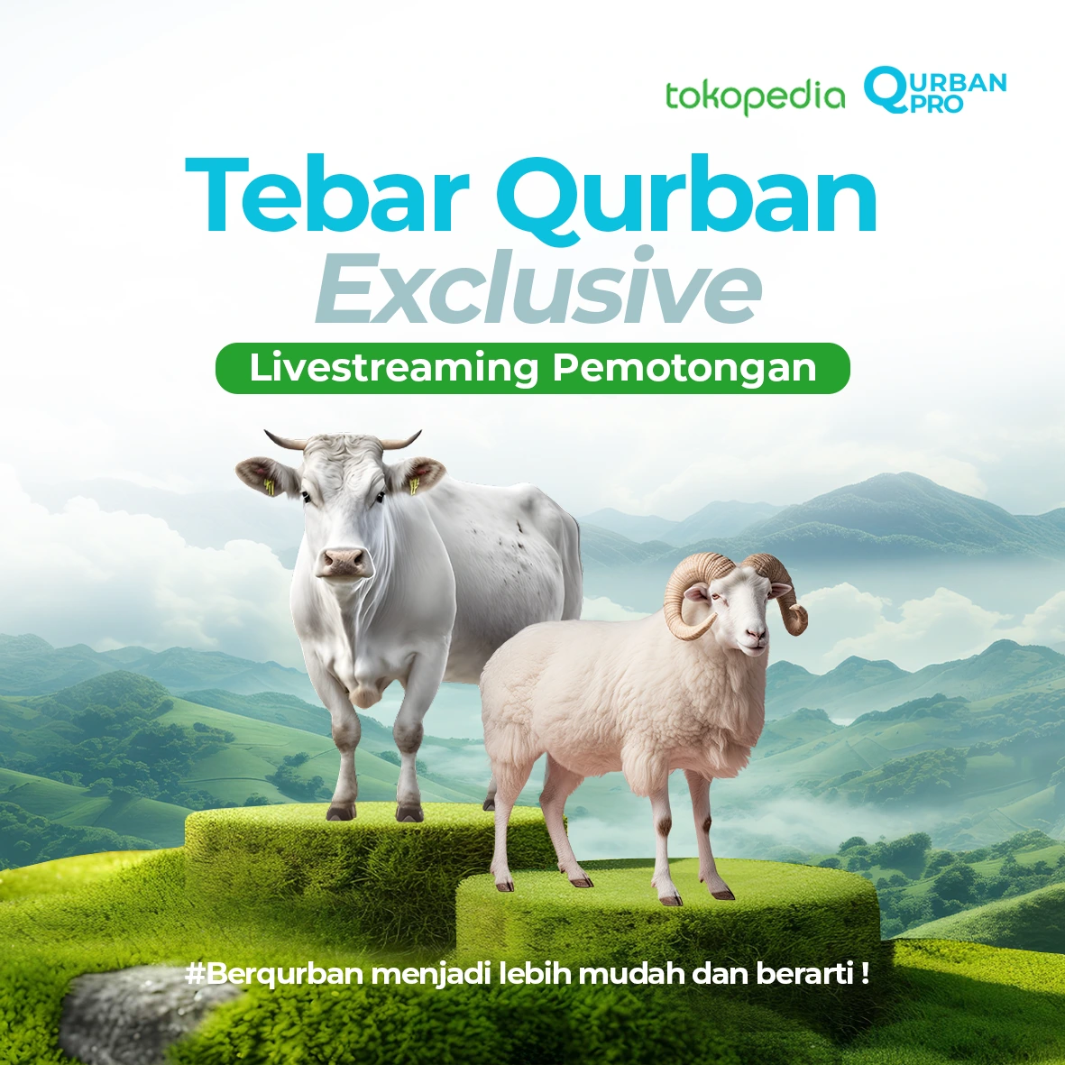 QurbanPro_1